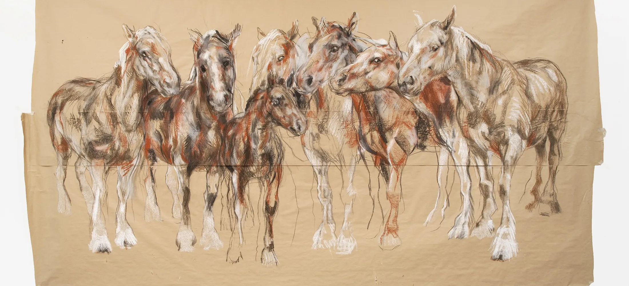 Nicola Hicks Horses