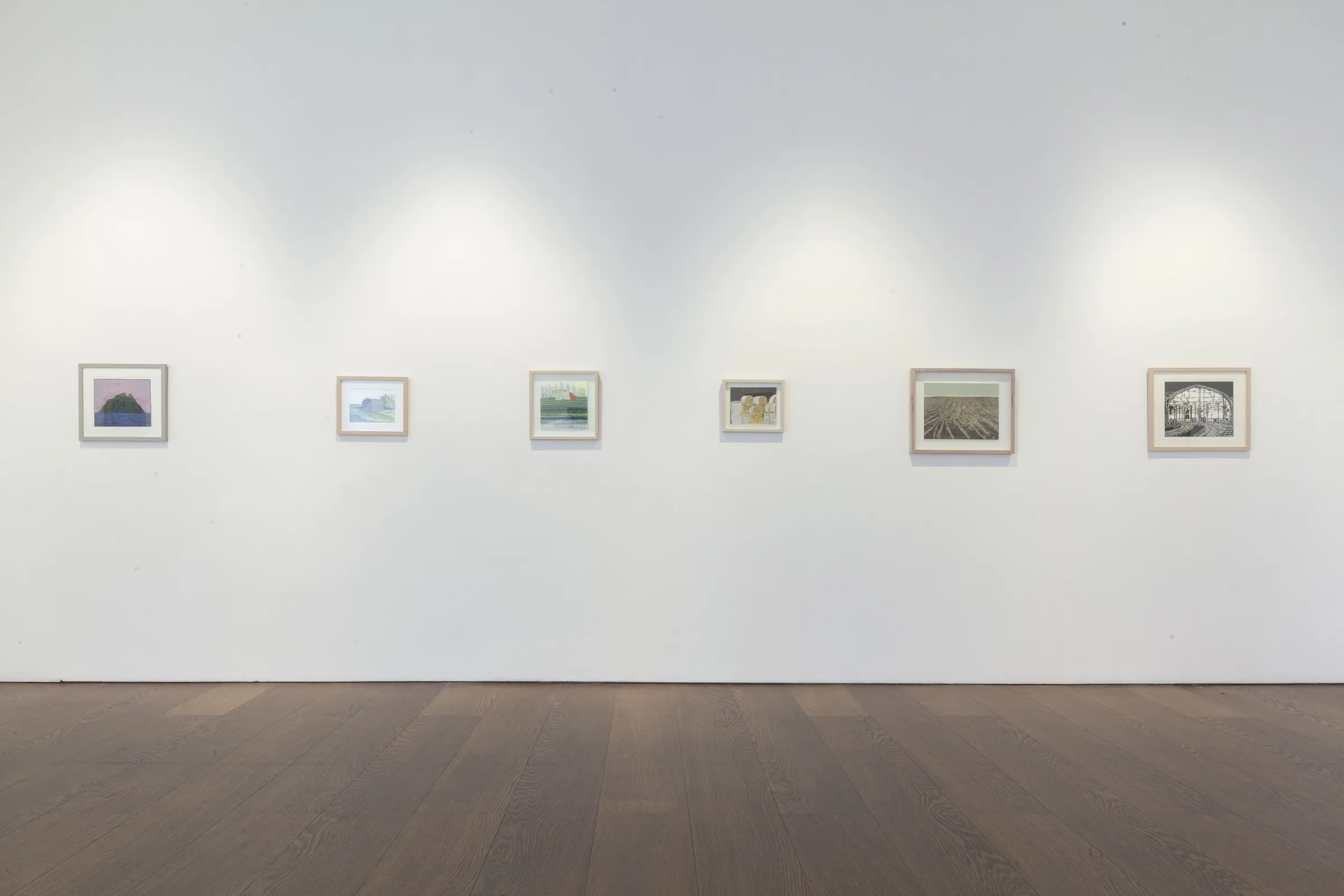 Paula Pohli Artist of the Day 2024
