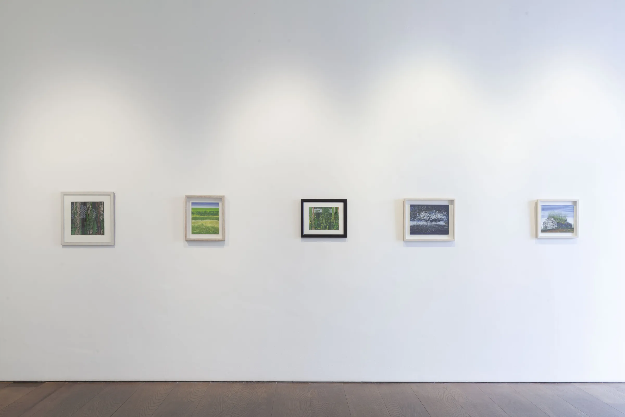 Paula Pohli Artist of the Day 2024