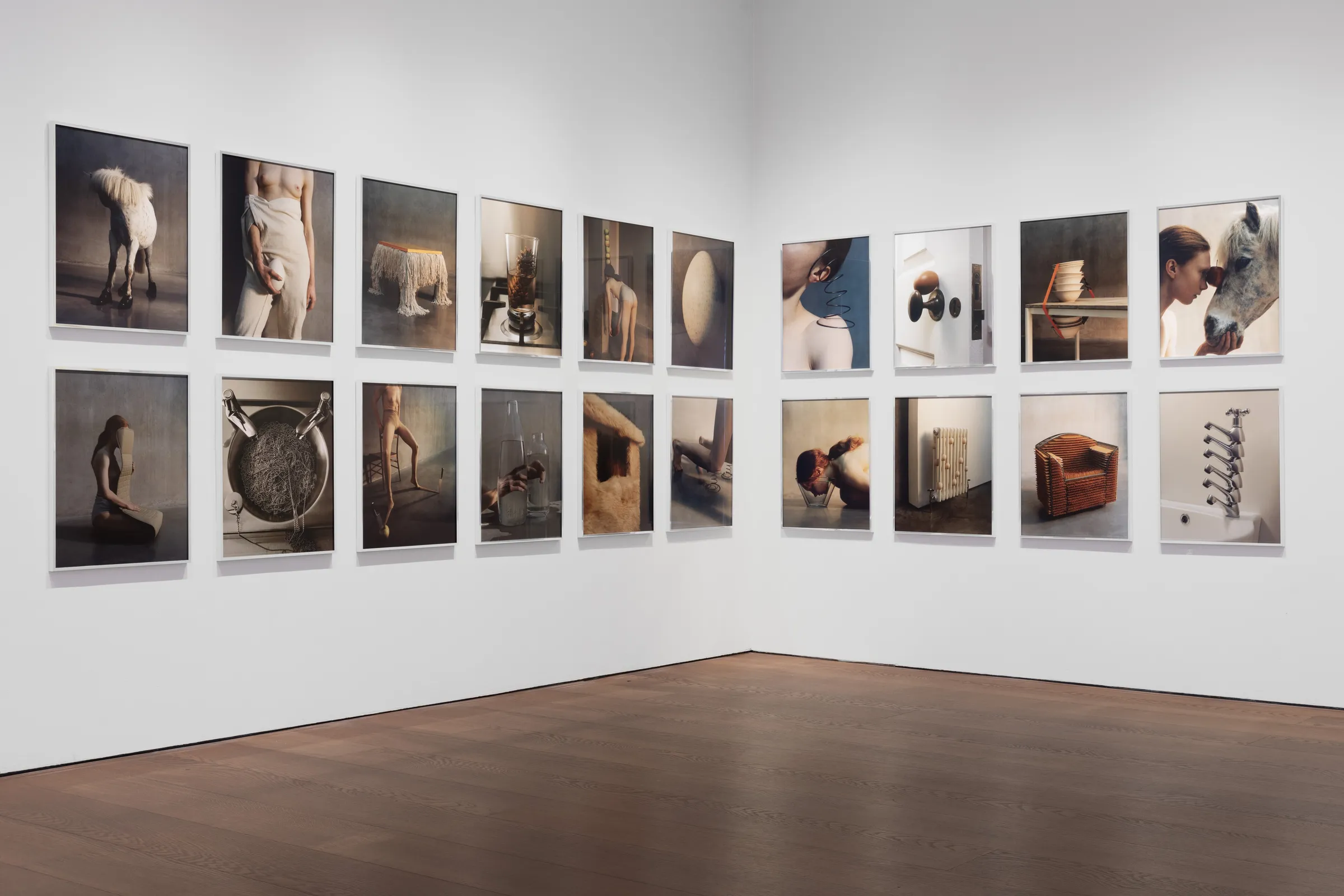 Lisa Jahovic Soft Interruptions