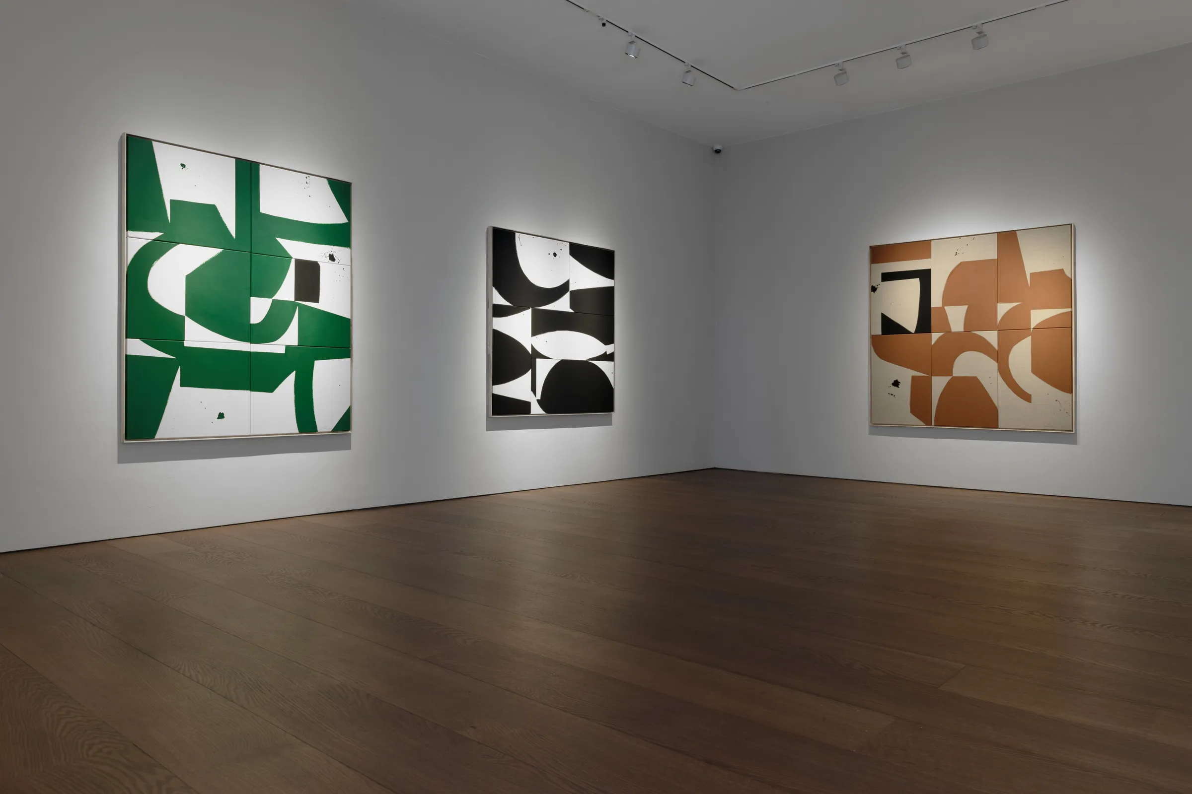 Liza Giles In Flux