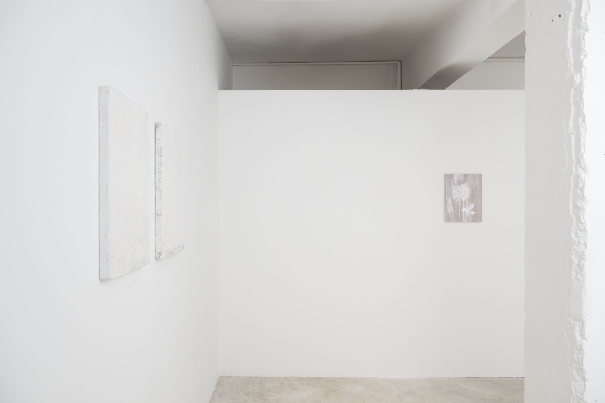 Was it a vision, or a waking dream? Chen Zhe, Bianca Raffaella and Aida Tomescu