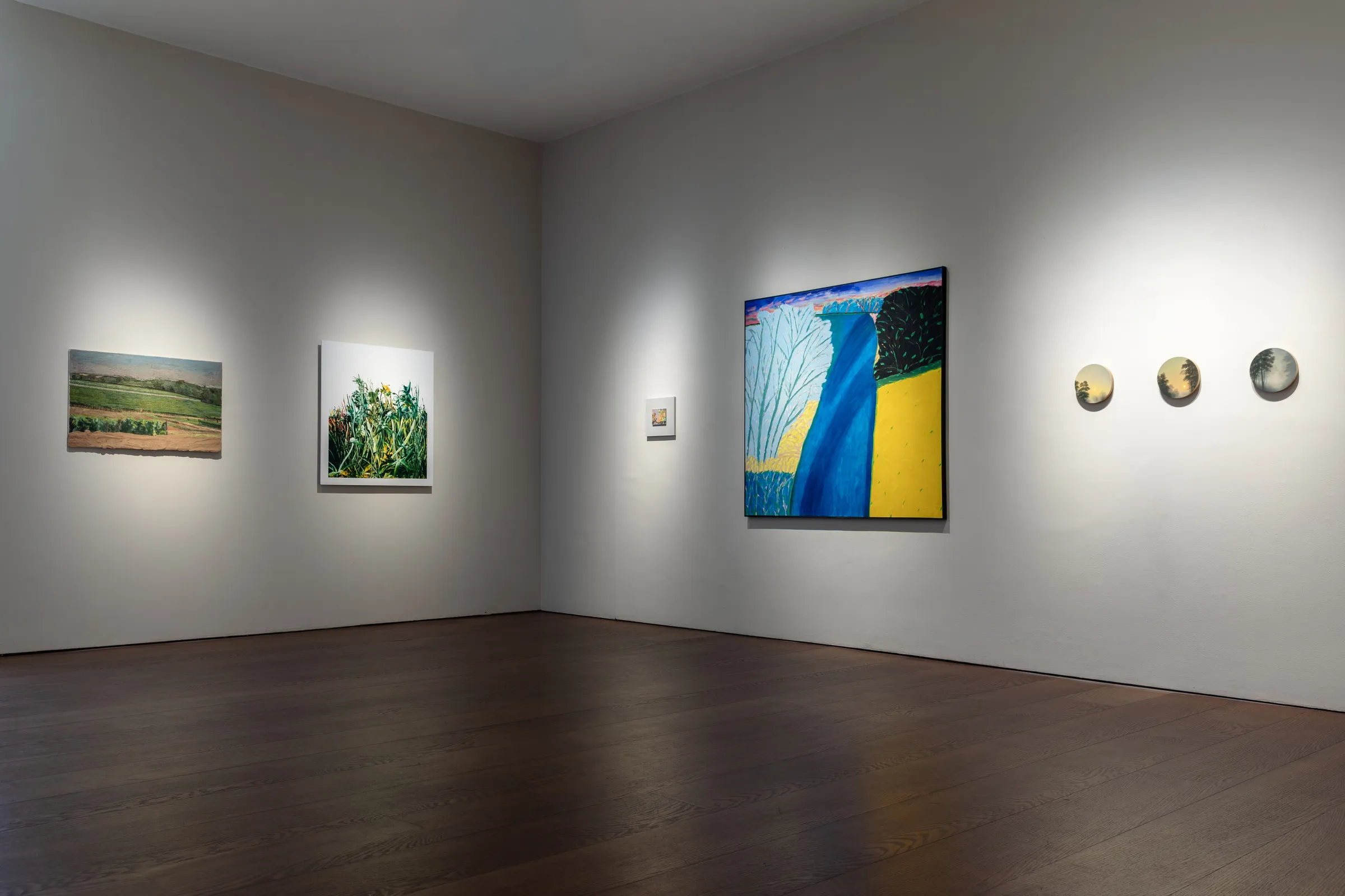 Seeking New Landscapes