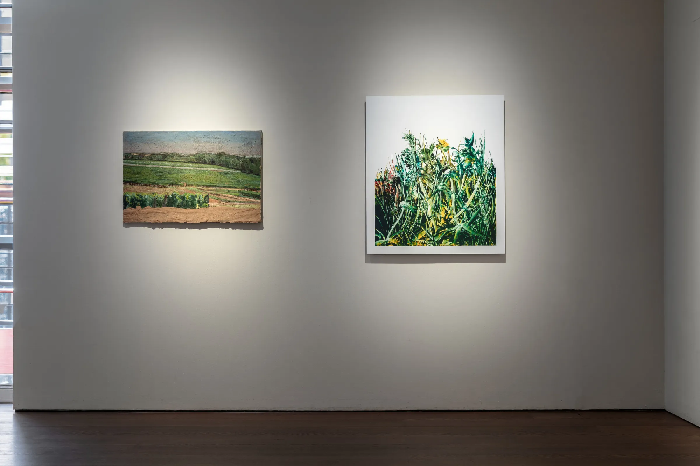 Seeking New Landscapes